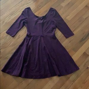 Express Skater Dress